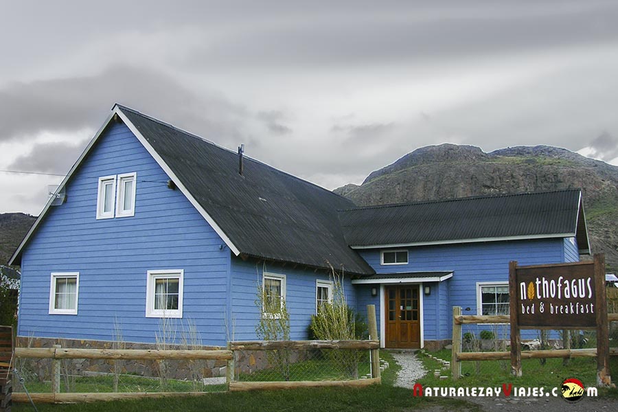 Nothofagus B&B El Chaltén Argentina