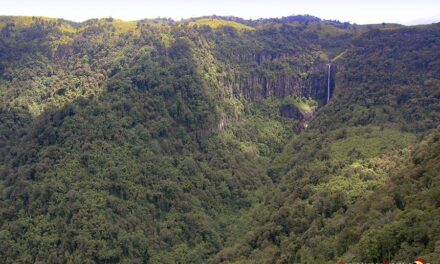 Parque Nacional Aberdares, Kenia