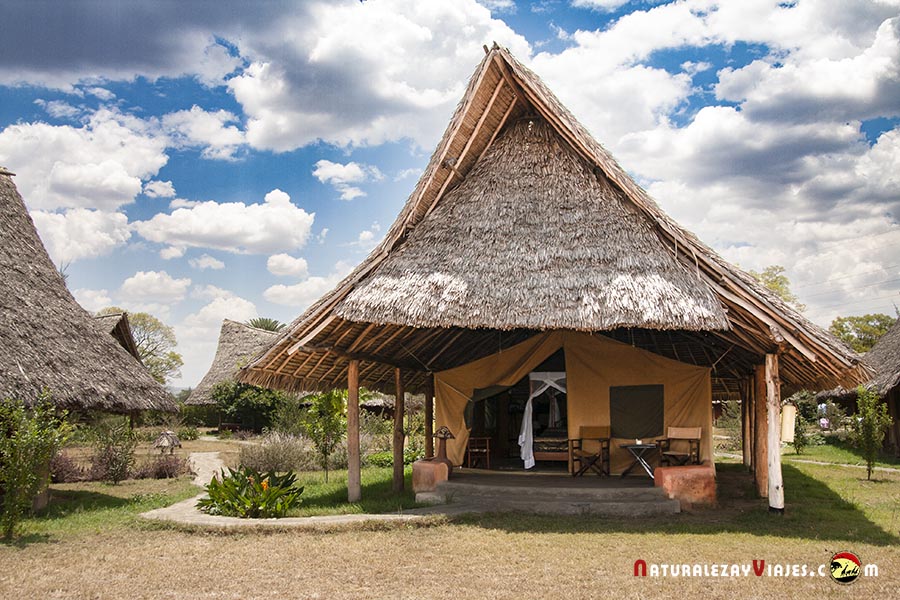 Tended camp parque nacional lago Nakuru