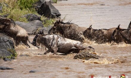 Sueños viajeros cumplidos