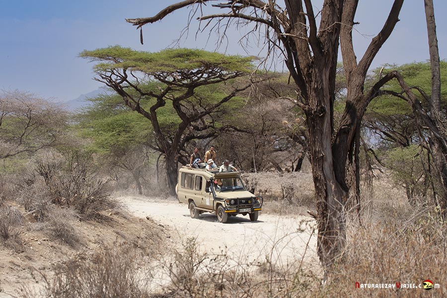 4x4 de safari en Kenia