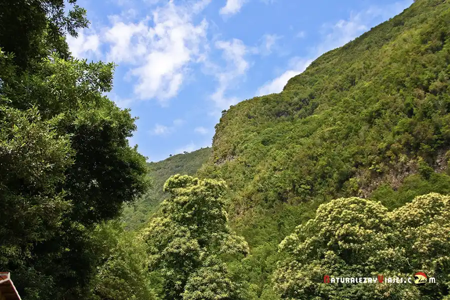Los Tilos y los Nacientes de Marcos y Cordero