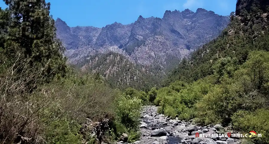 Parque Nacional la Caldera de Taburiente