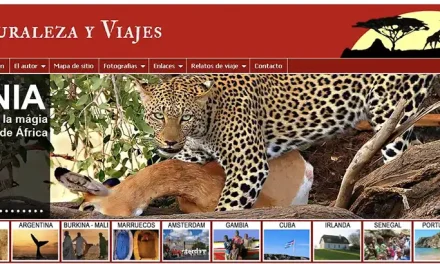 Año Nuevo + Bebé Nuevo = Forma de Viajar Nueva + Plantilla Nueva