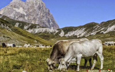 Parque Nacional del Gran Sasso y Montes de la Laga, Italia