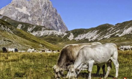 Parque Nacional del Gran Sasso y Montes de la Laga, Italia