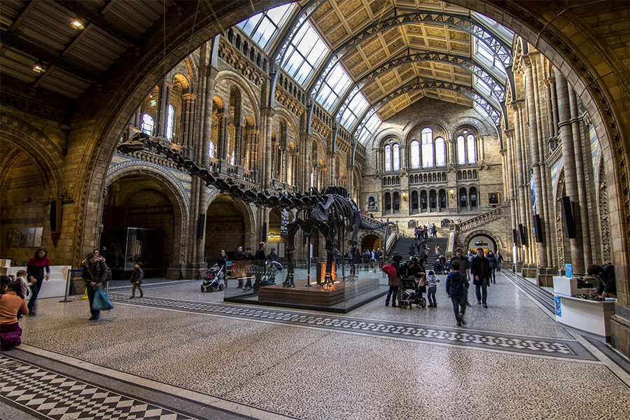 Museo Historia Natural Londres