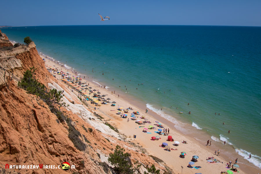 Playa de Falesia, una de las praias más bonitas del Algarve