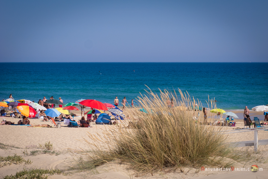 Playa Verde, una de las playas más bonitas del Algarve