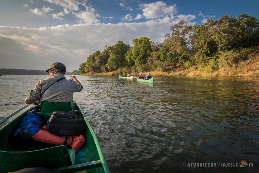 Canoa por el río Zambezi