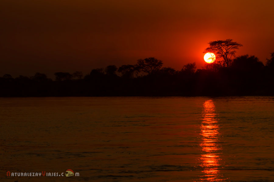Sunset South Luangwa, Zambia