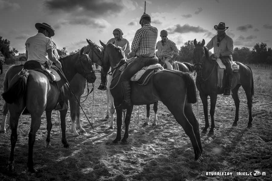 Riders await their troops of mares and foals