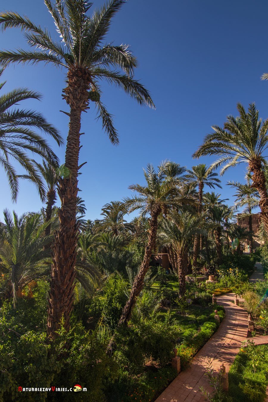 Kasbah Azul, Marruecos