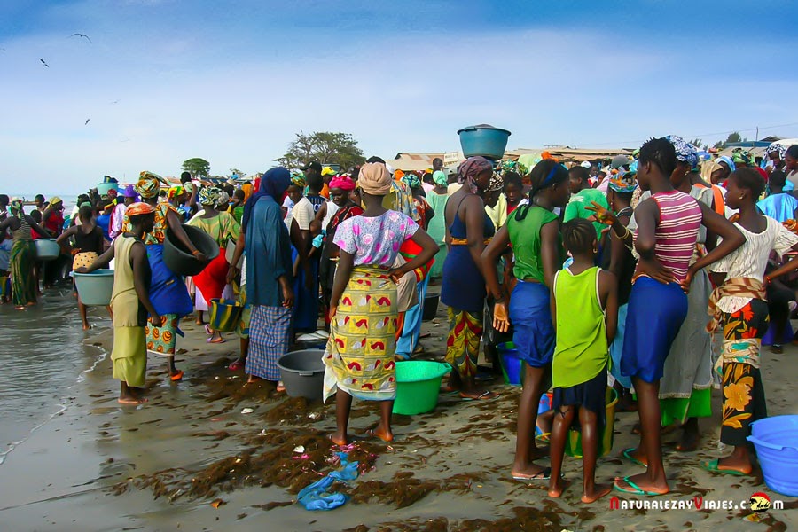 Pescadores en Tanji, Gambia