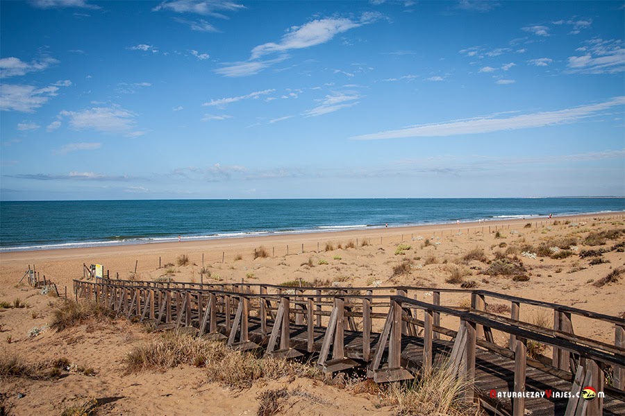 Las Mejores Playas De Huelva ACTUALIZADO 2022 