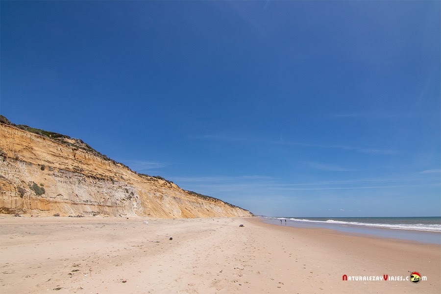 Playas nudistas en Huelva