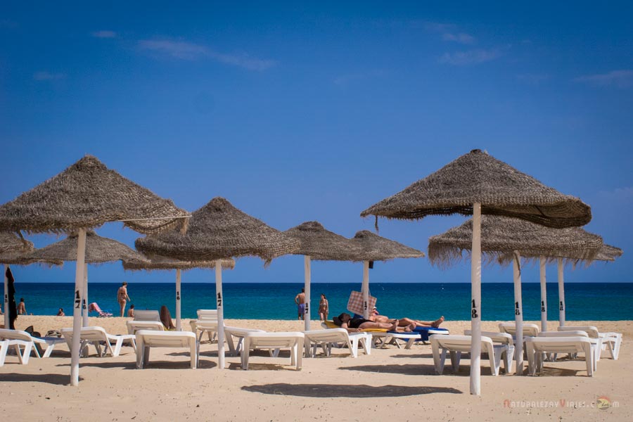 6 playas del Algarve para viajar con niños