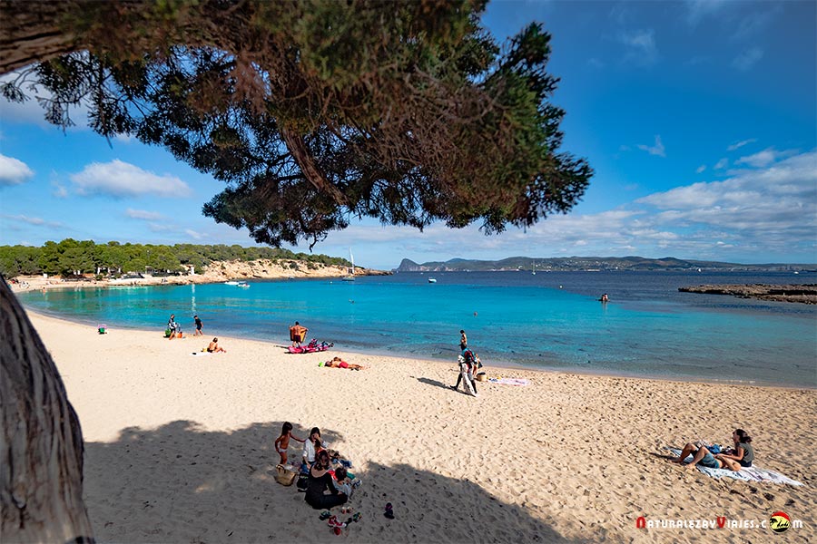 Cala-Bassa, Ibiza, entre las mejores playas y calas de Ibiza