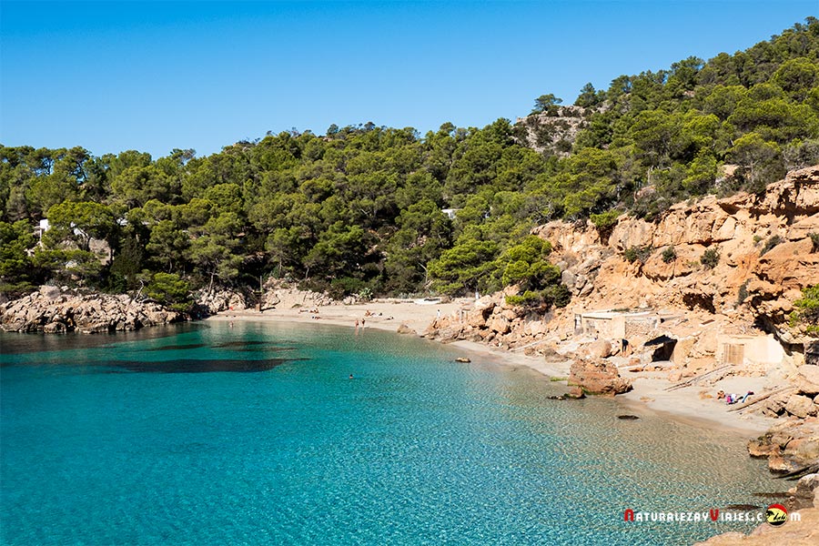 Cala Saladeta, Ibiza, entre las mejores playas y calas de Ibiza