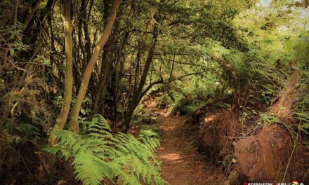 La Caldera del Agua, La Zarza (Isla La Palma)