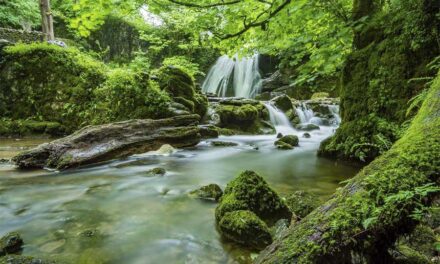 El bosque más atractivo de España