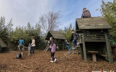 Londres en 4 días: Hyde Park y Kensington Gardens (Día 3)