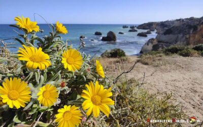 La ruta de los Barrancos de las Flores del Algarve