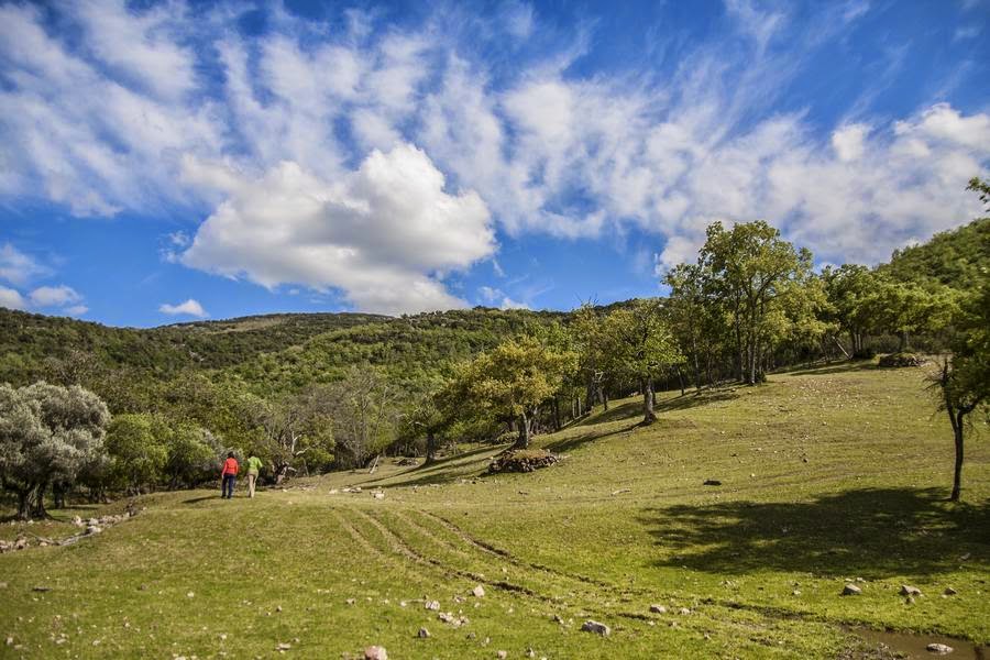 Parques Naturales de Andalucía, despeñaperros