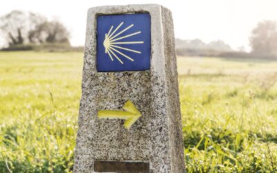 Descubre todo lo que ofrece la Ruta de Sarria a Santiago