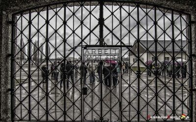 Alrededores de Cracovia. Auschwitz y Minas de Sal de Wieliczka