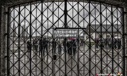 Alrededores de Cracovia. Auschwitz y Minas de Sal de Wieliczka