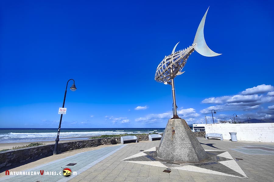 Monumento al atún que ver en Tarifa
