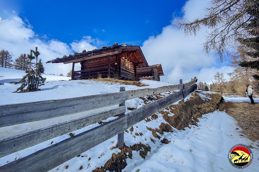 Alpe di Siusi Dolomitas