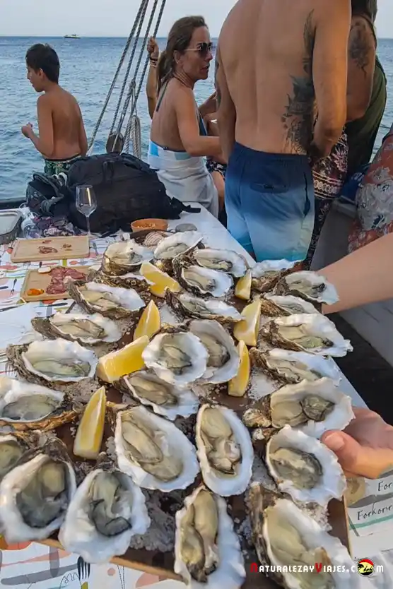 Excursión en barco Setúbal playas