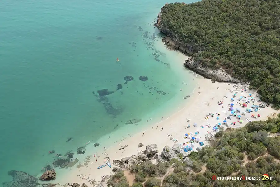 Playa Coelhos Setúbal