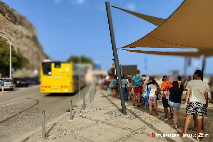 Bus Arrábida Setúbal