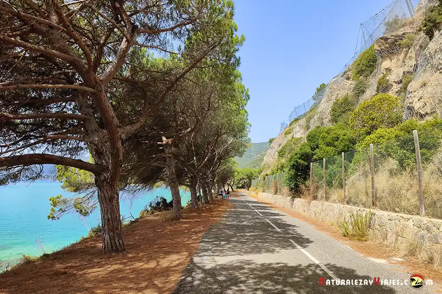 Carretera cortada Arrábida Setúbal
