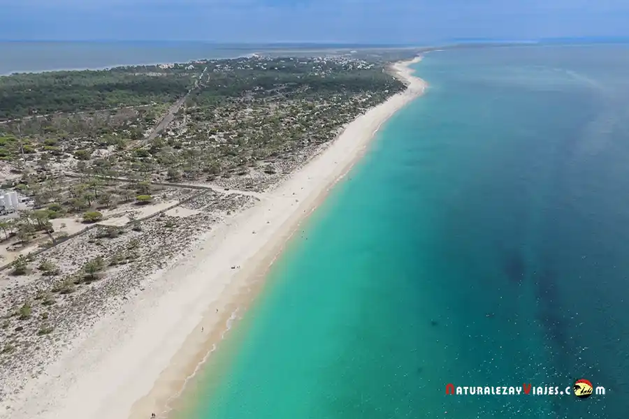 Playas de Comporta y Troia