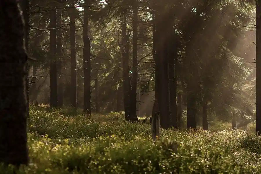 viajar zonas remotas sin wifi