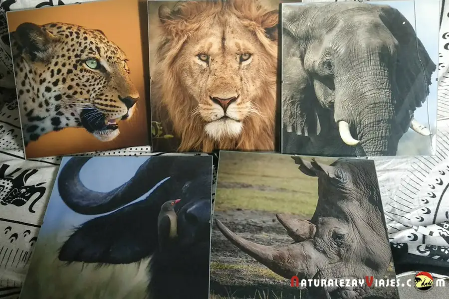 Qué hacer con las fotos de tus viajes