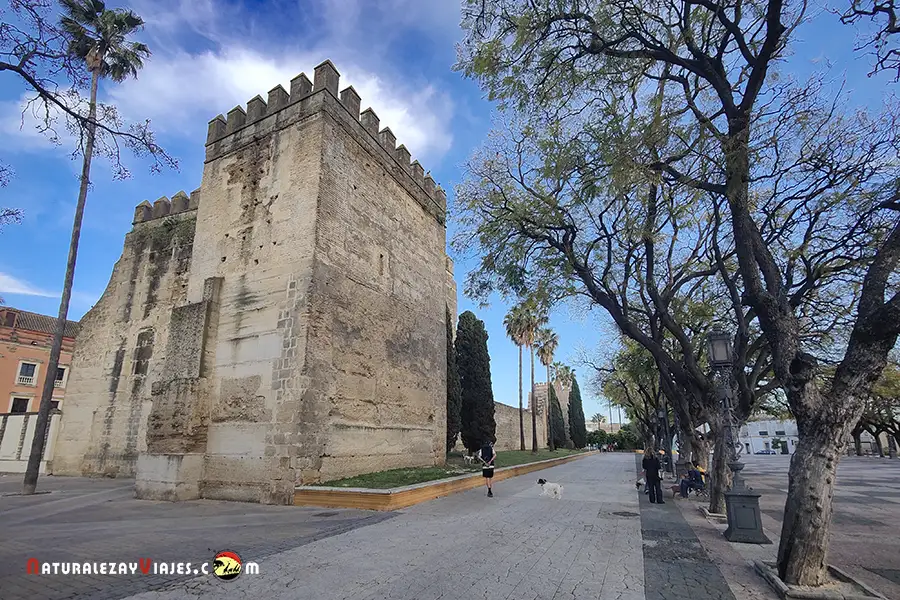 Alameda Vieja en Jerez de la Frontera