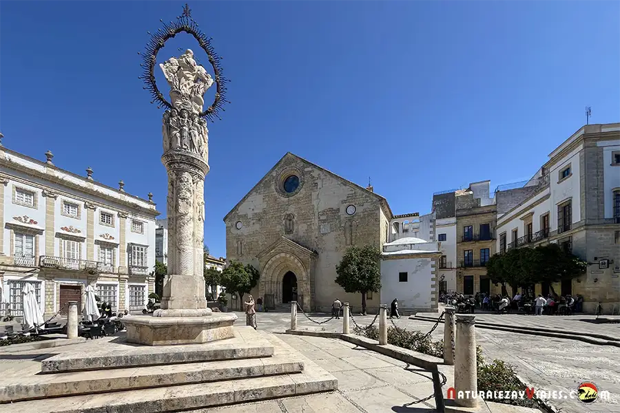 Plaza Asunción de Jerez
