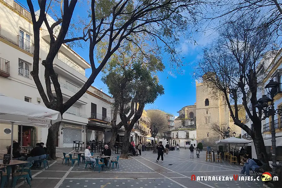 Plaza Plateros de Jerez