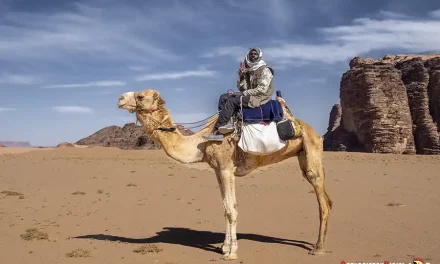Guía para viajar a Jordania por libre. Todo lo que necesitas saber antes de ir