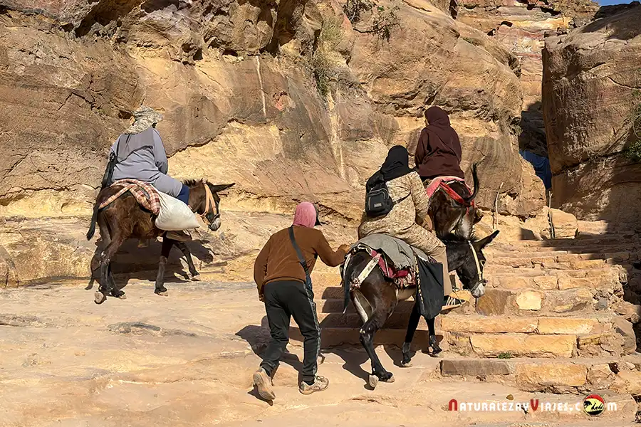 Beduinos en burro Petra