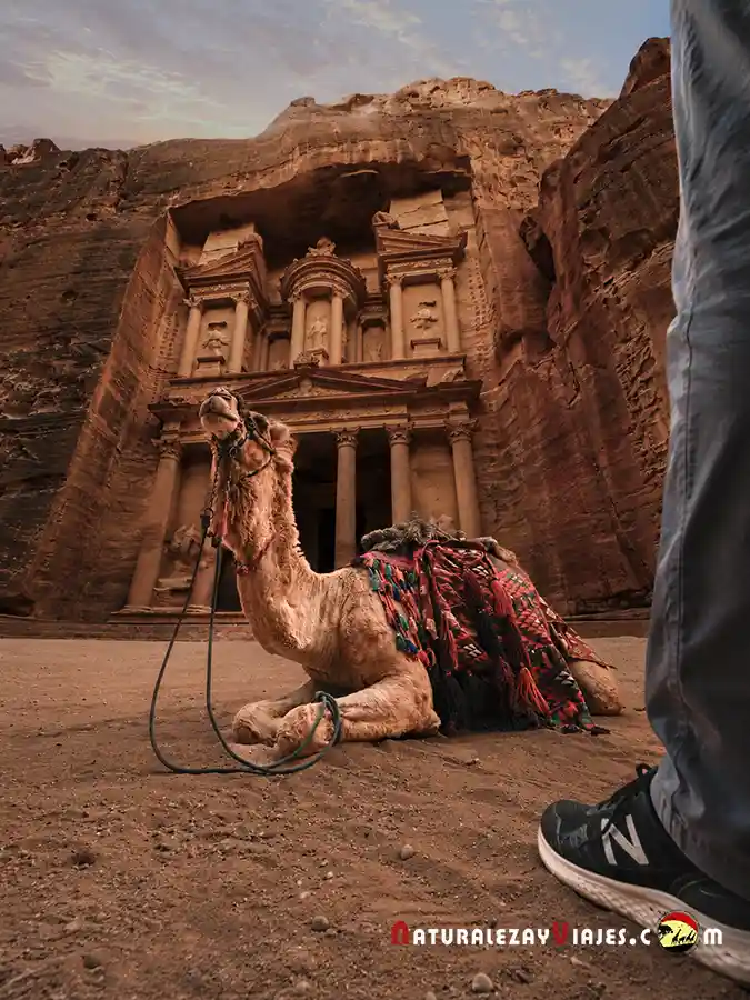 Petra que ver en Jordania
