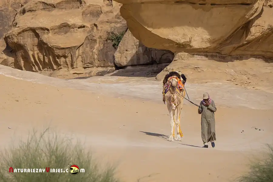 Beduino en Wadi Rum