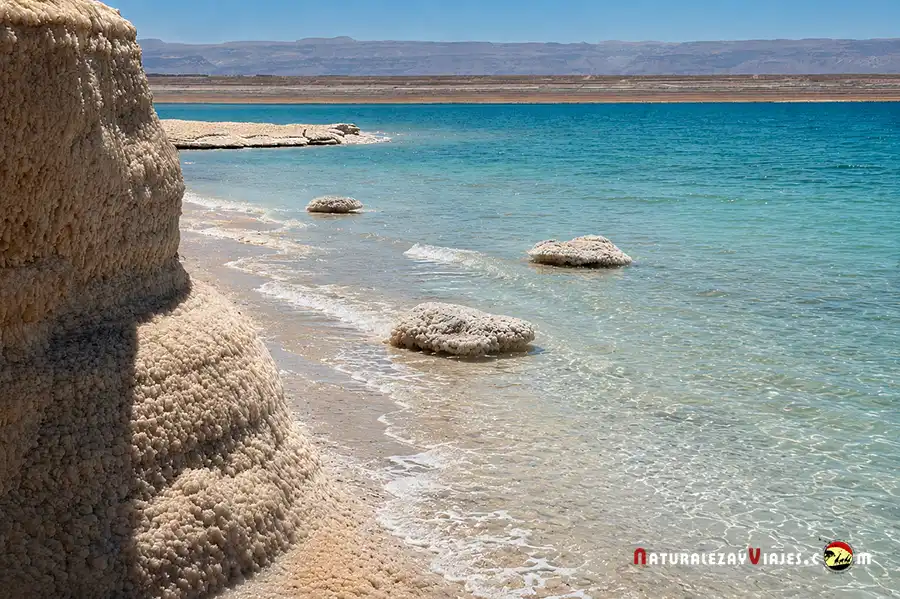 Bañarse en el mar muerto