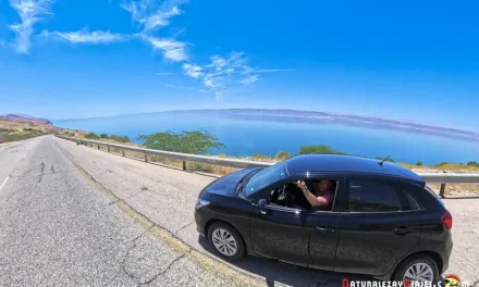 Cómo preparar un viaje en coche para perder menos tiempo y disfrutar más