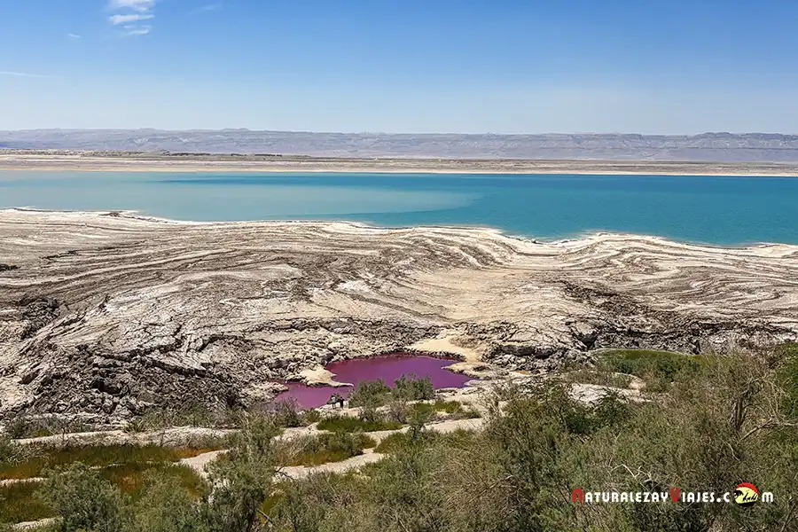 Paisaje Mar Muerto Jordania